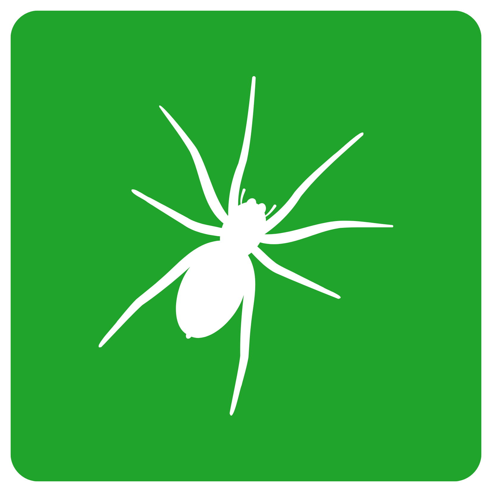 Arachnida