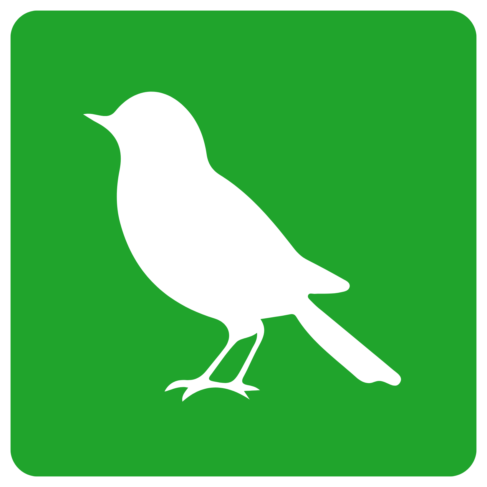Aves