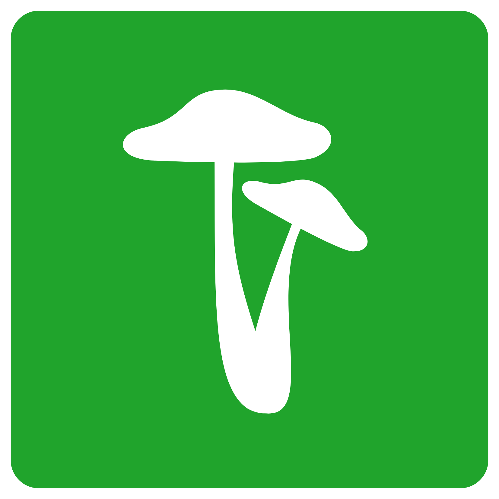 Fungi
