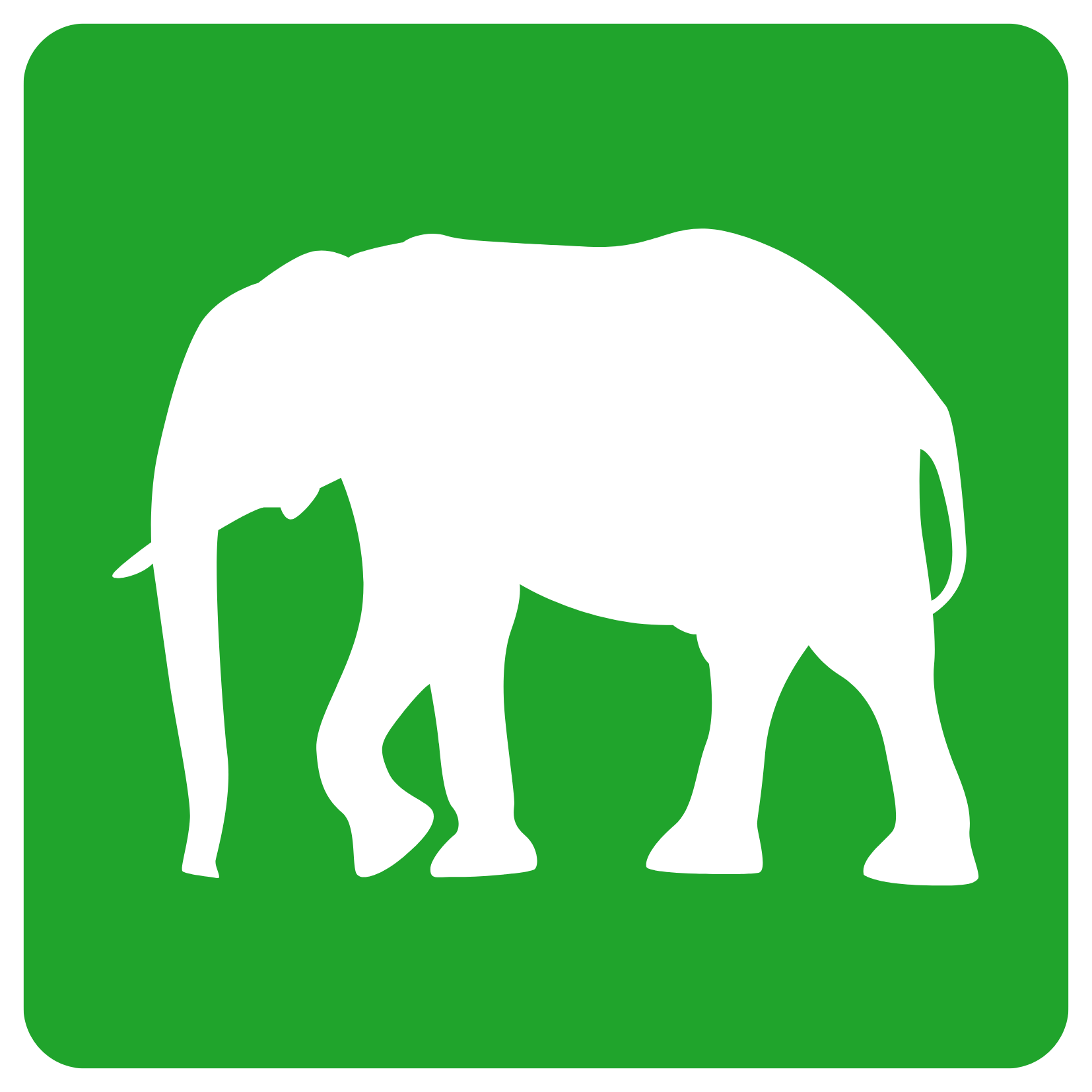Mammalia
